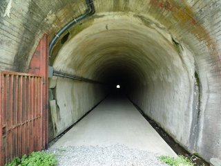 1105042.jpg