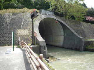 1105043.jpg