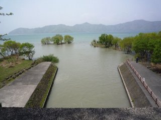 1105044.jpg