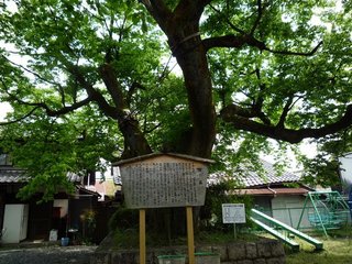 110504b.jpg