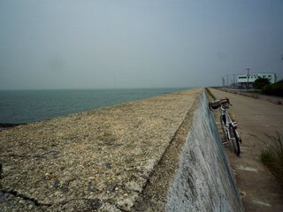 1105215.jpg