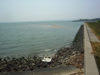 1105219.jpg