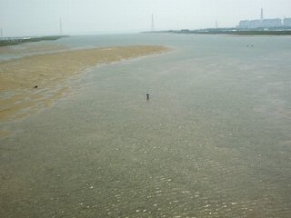 110521a.jpg