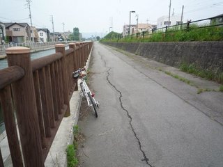 1106040.jpg